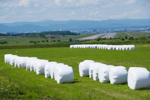 silage film
